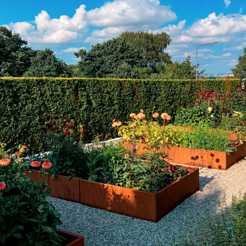 Skærmbillede 2025 02 05 Kl. 13.36.11