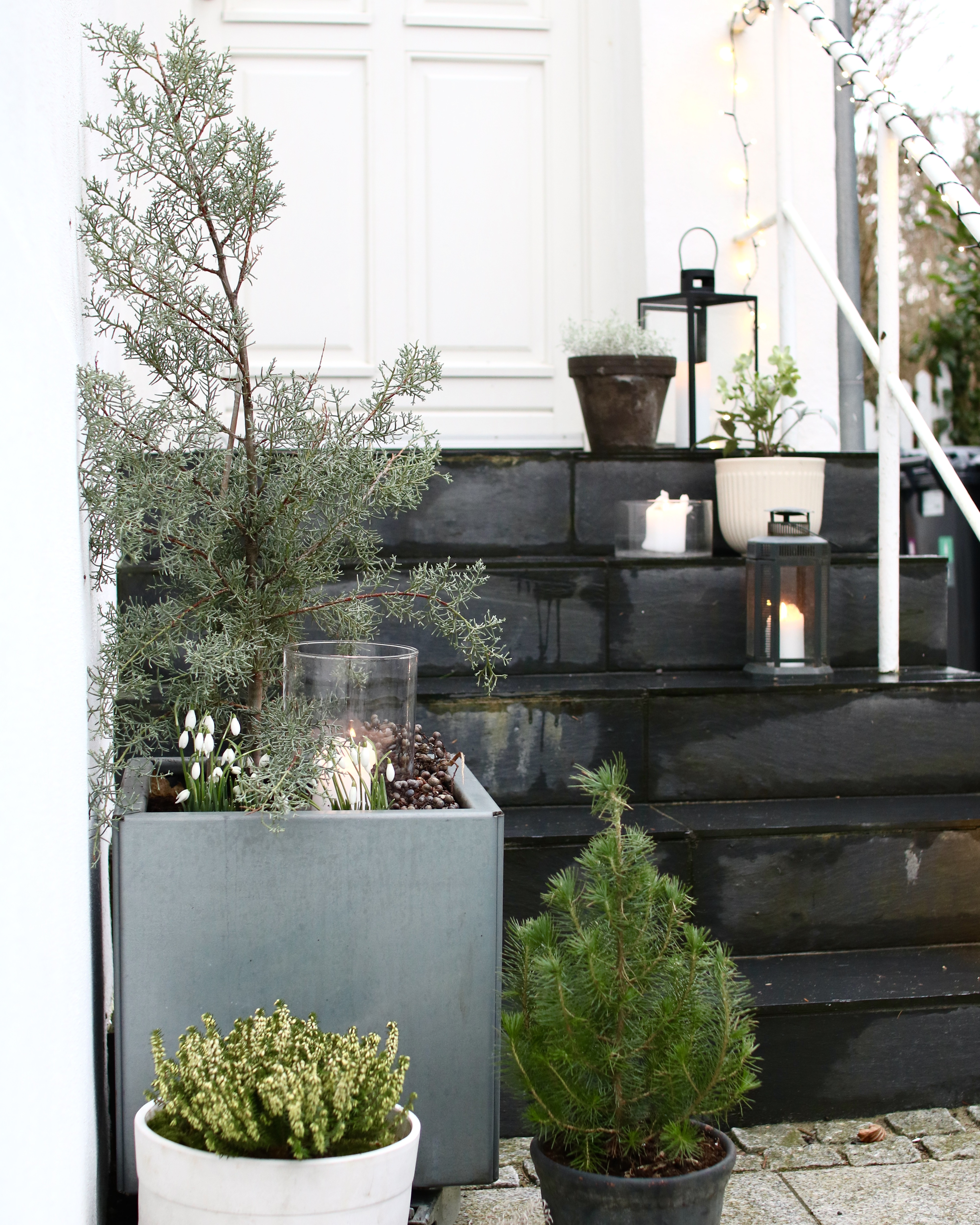 Hvad kan dyrkes i plantekasser og krukker?