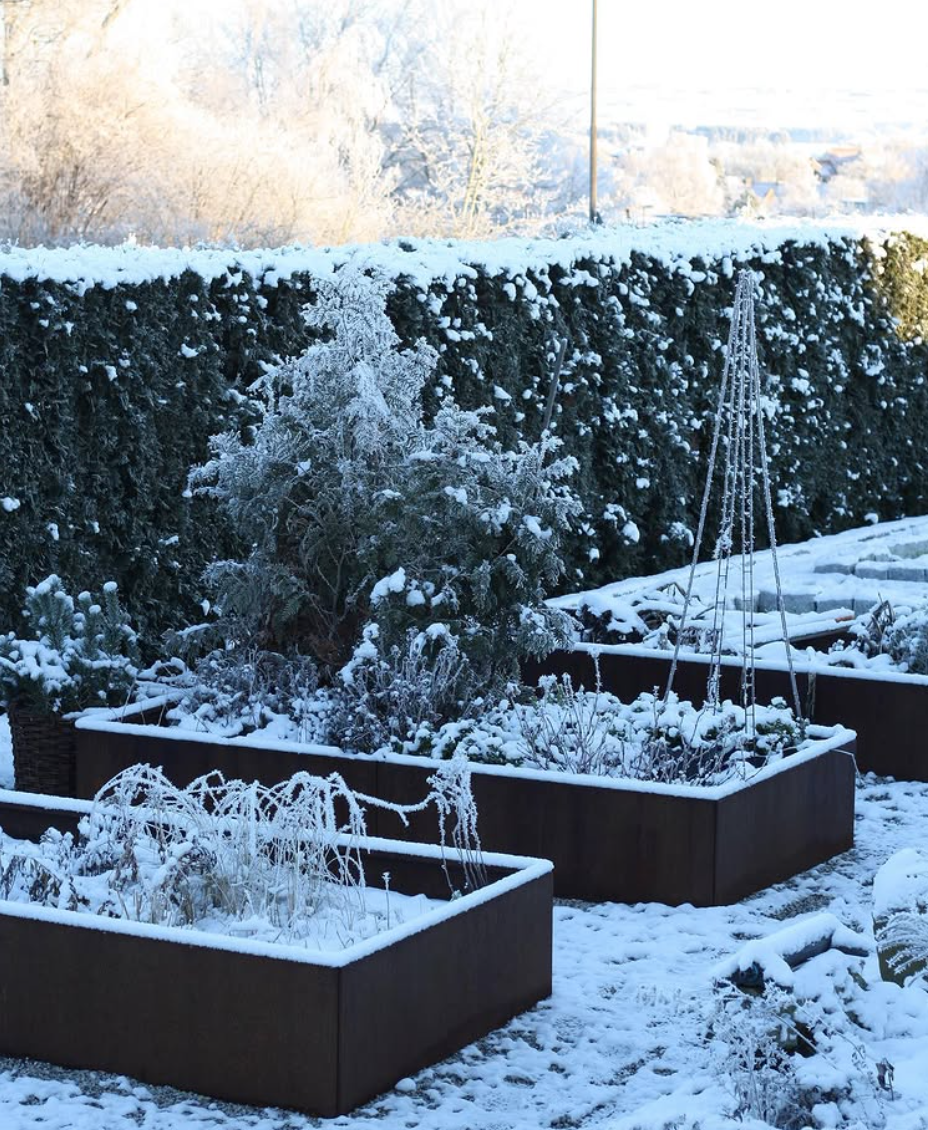 Tryl juleresterne om til fuglegodter
