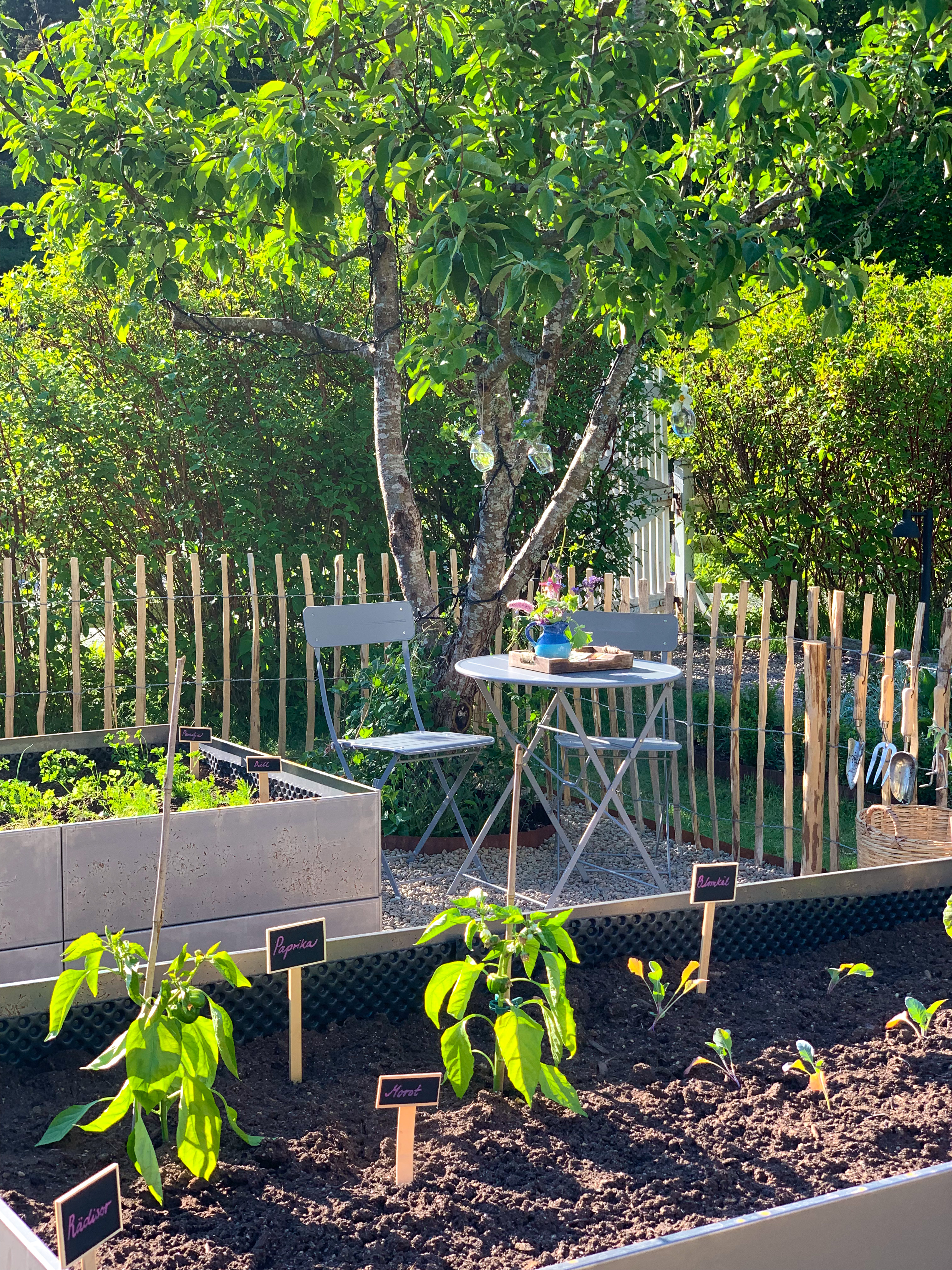 Så er der plantet og sået i højbedet