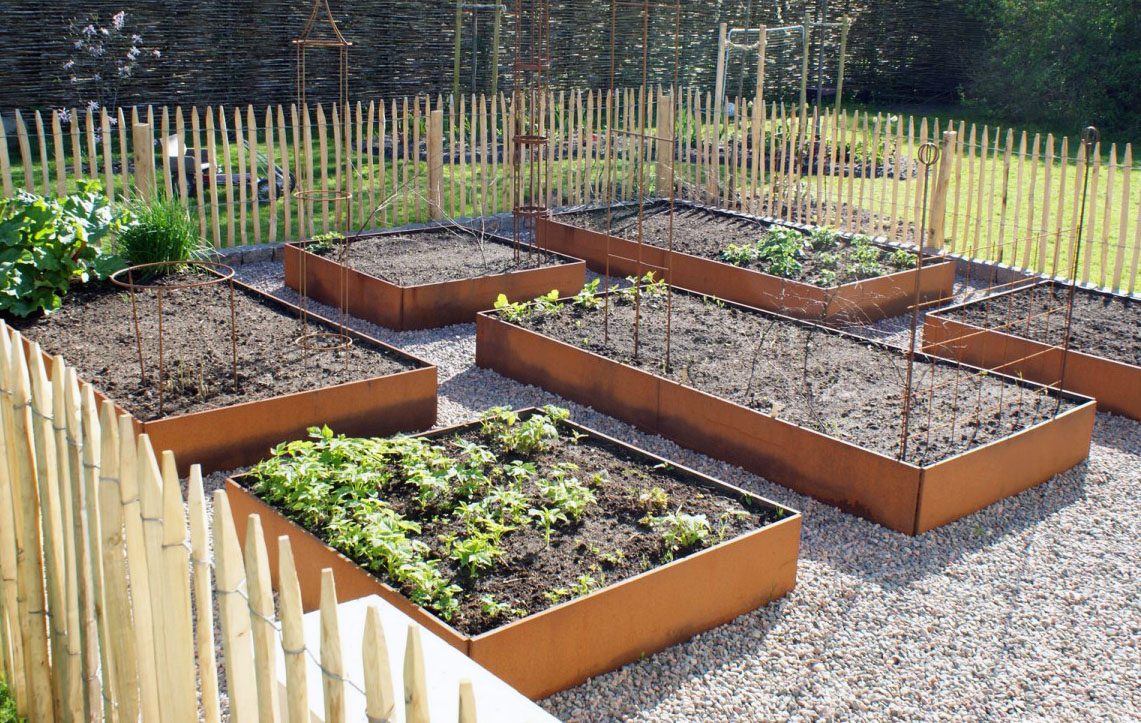 Nu kan du forspire kartofler