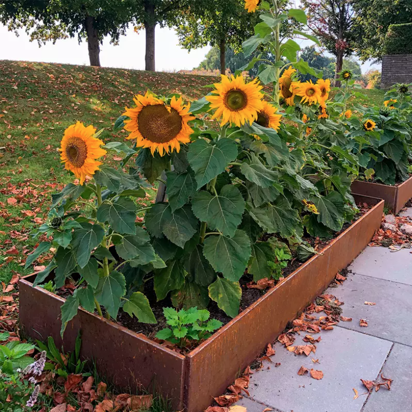 Skærmbillede 2025 03 18 Kl. 08.24.37