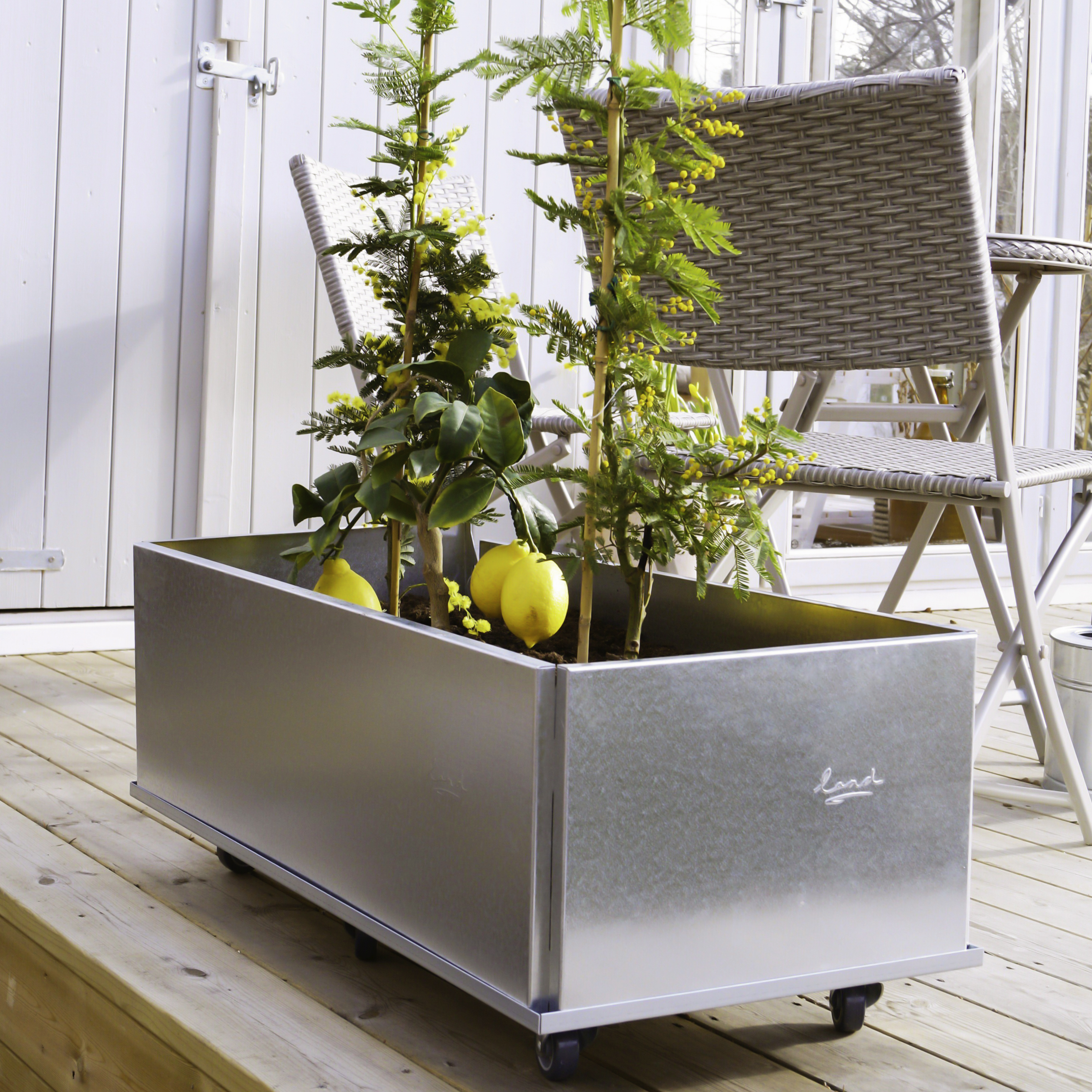 Plantekasse Aflang På Hjul I Galvaniseret Jern 40X80cm