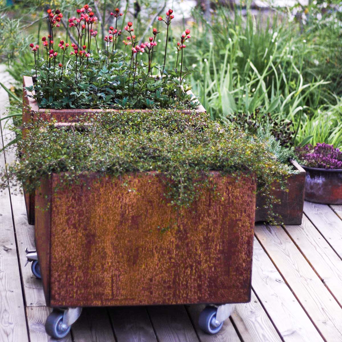 Land Modern Corten Plantekasse Med Hjul Stoerrelse 60X60 Cm