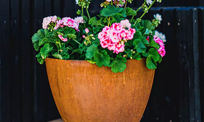 Skærmbillede 2025 03 04 Kl. 08.25.59 Skærmbillede 2025 03 04 Kl. 08.25.59