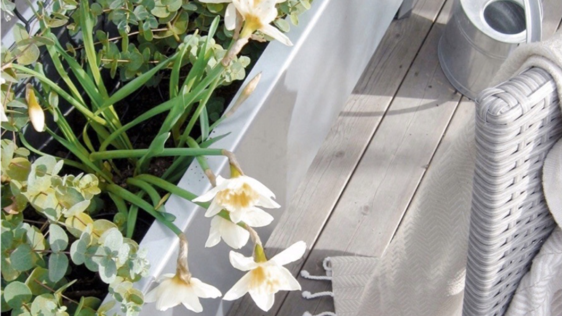 Fra haven og direkte ind i stuen – sådan får du friske blomster med god samvittighed