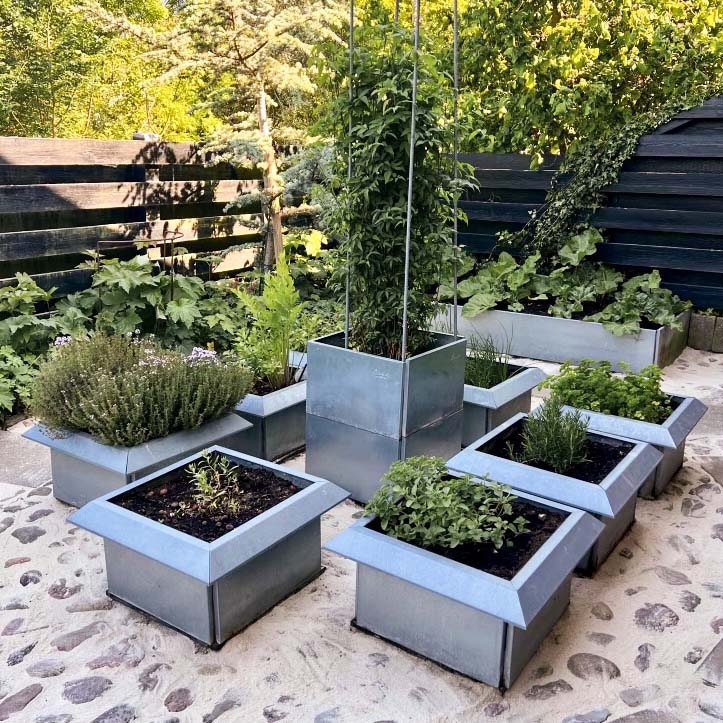 Uvelkomment besøg i højbedet