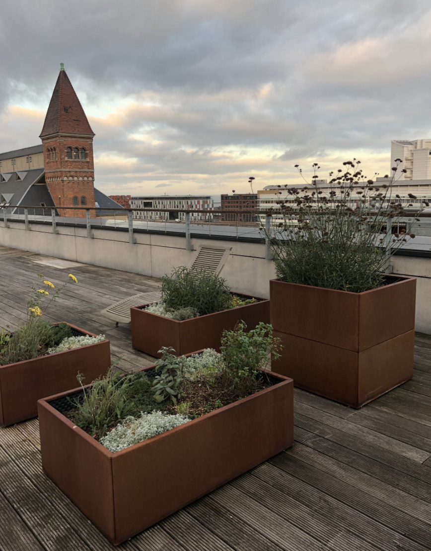 Højbede på tagterrassen
