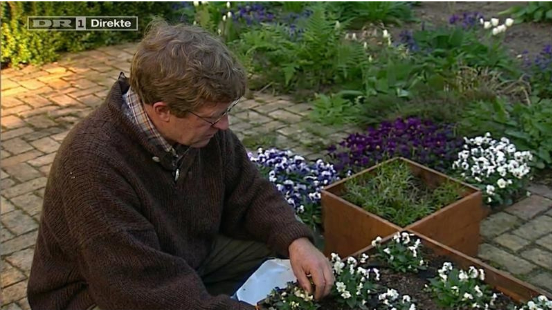 Søren Ryge - Hvad kan plantekasser også bruges til?