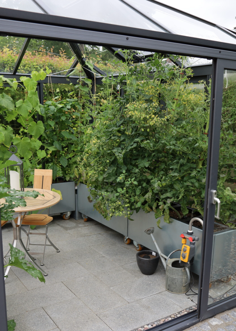 Grøntsagsfest i højbedet – sensommer, stjernespidser og spontane udfordringer