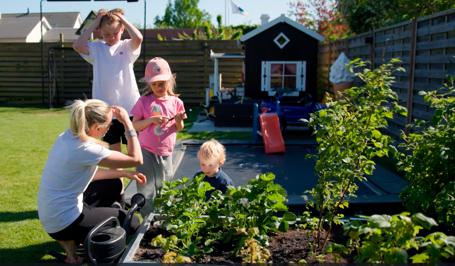Skab den perfekte køkkenhave med højbede