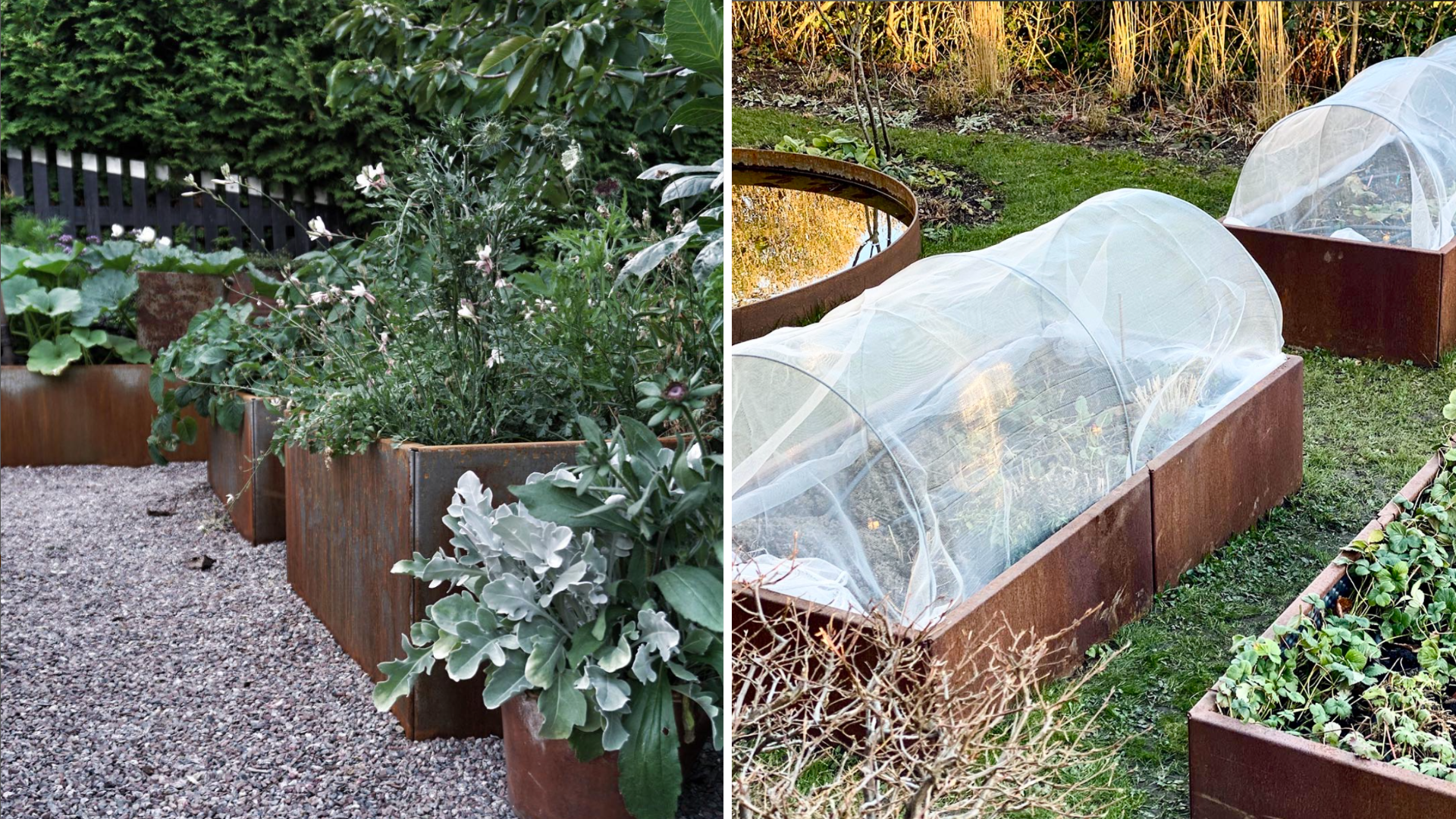 Køkkenhave for nybegyndere