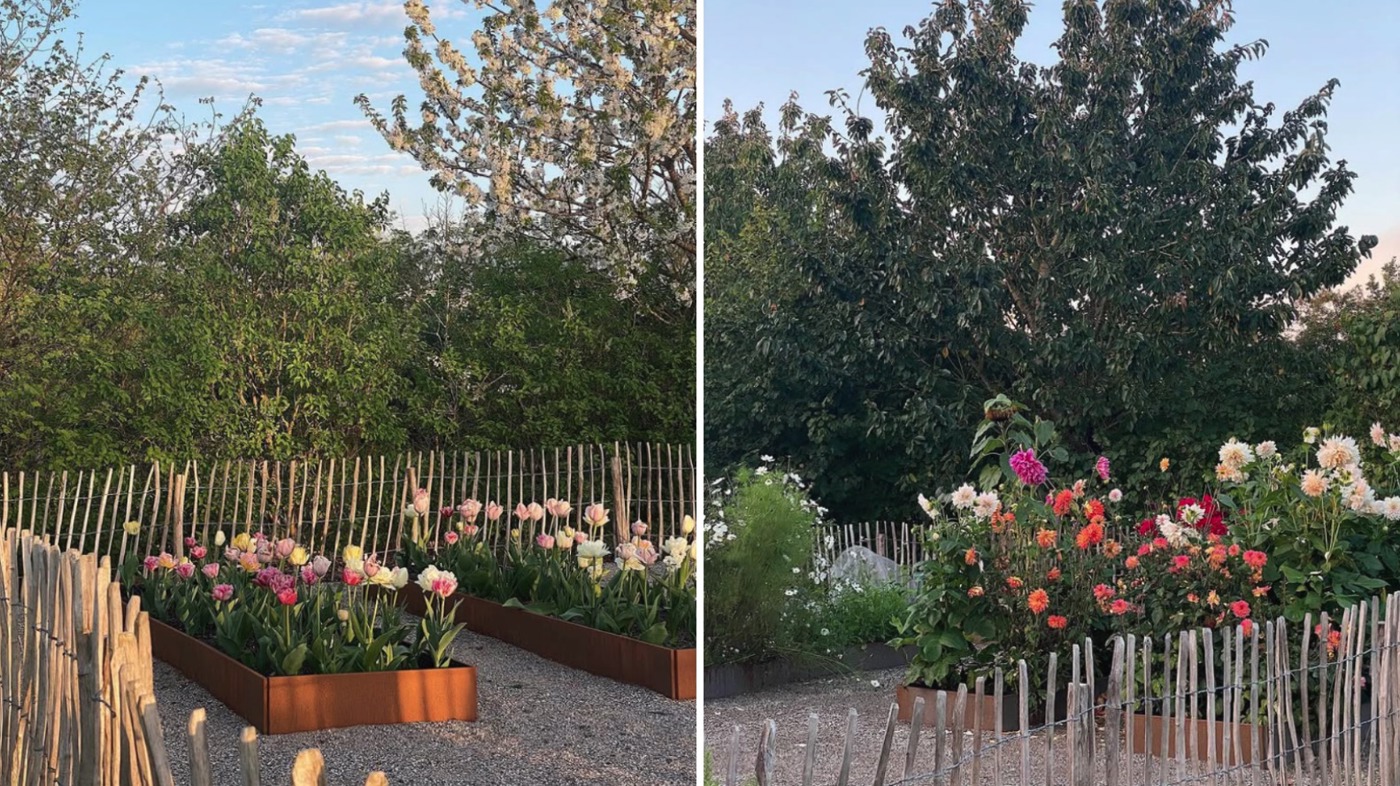 Sommerblomster i højbed - haveblog
