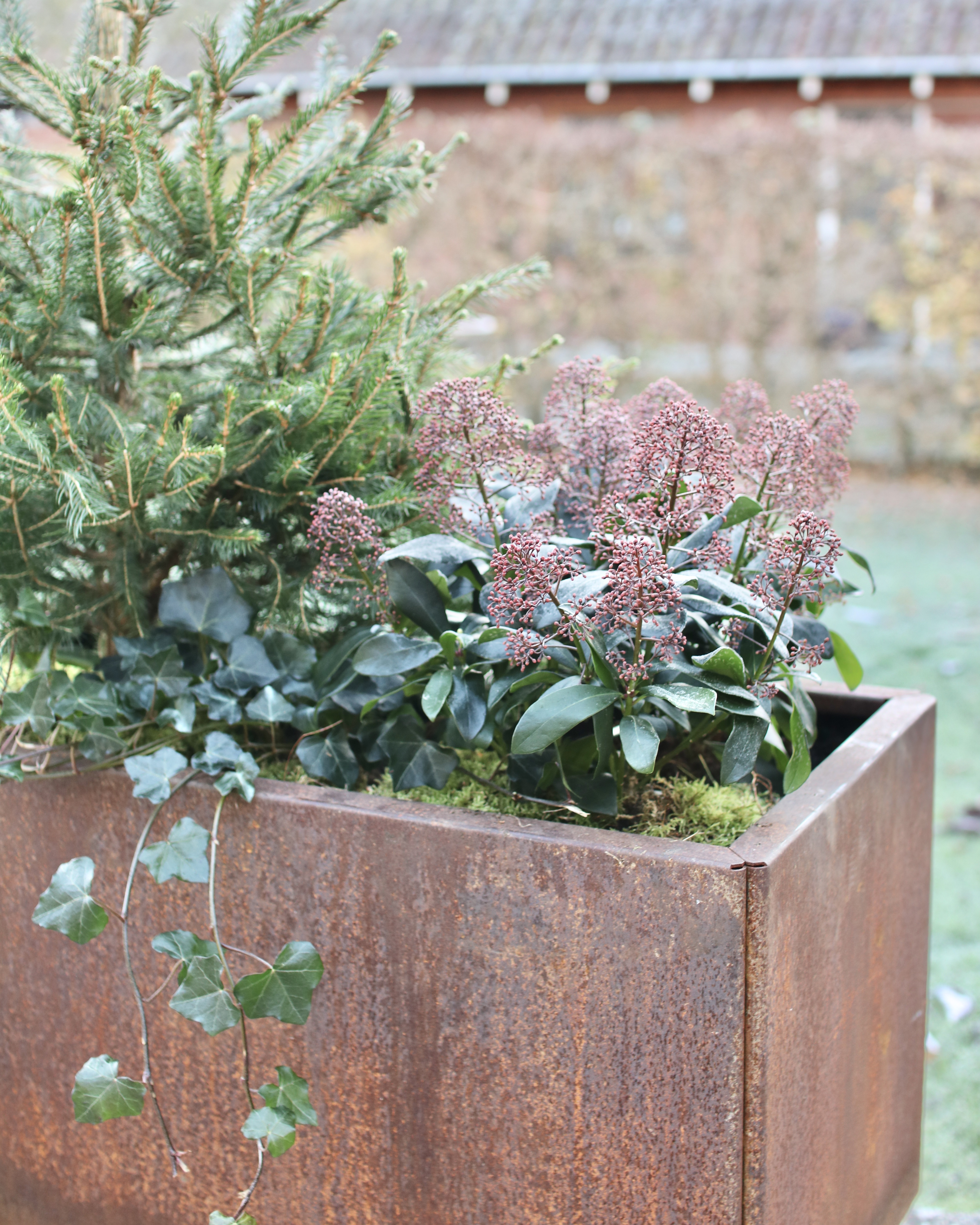 Efterår & vinter i haven — det perfekte tidspunkt til forberedelse og ro