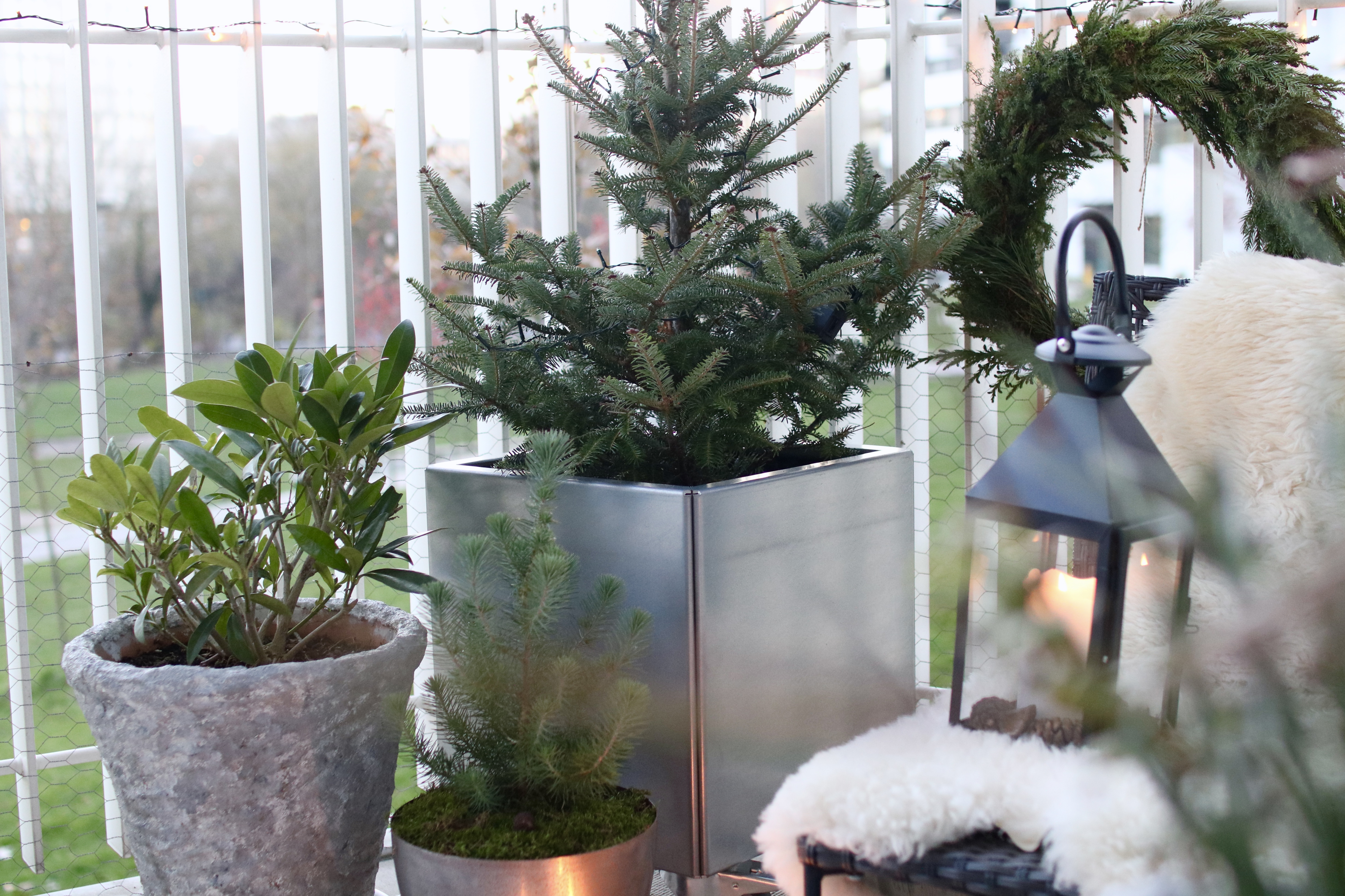 Julegaver til ham, hende & haven