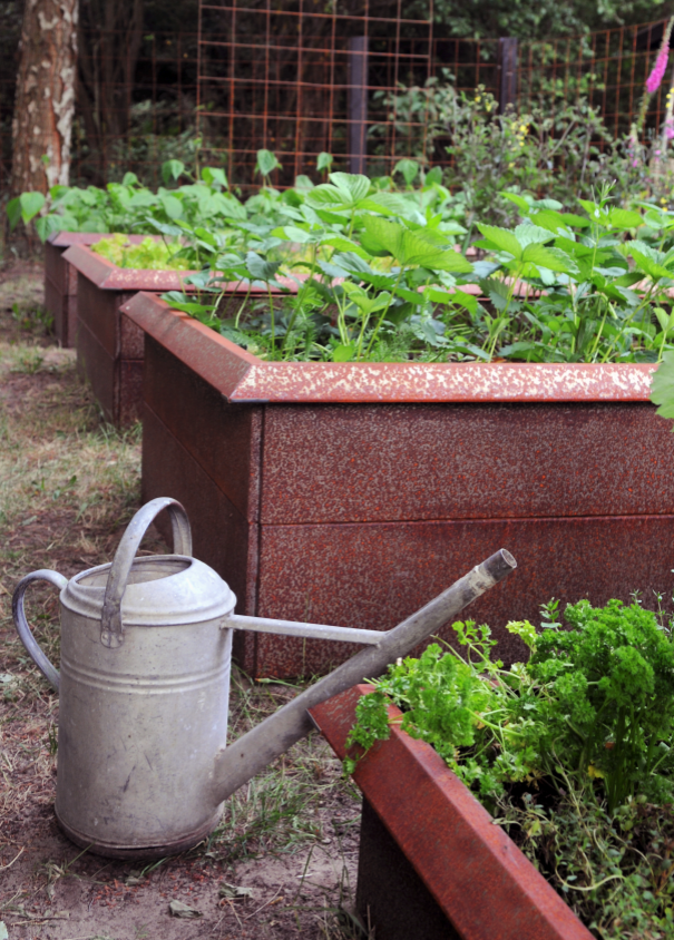 10 gode efterårsaktiviteter i haven