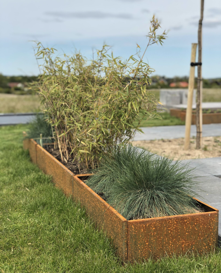 Sensommerglimt: Edderkoppespind, høst og højbede