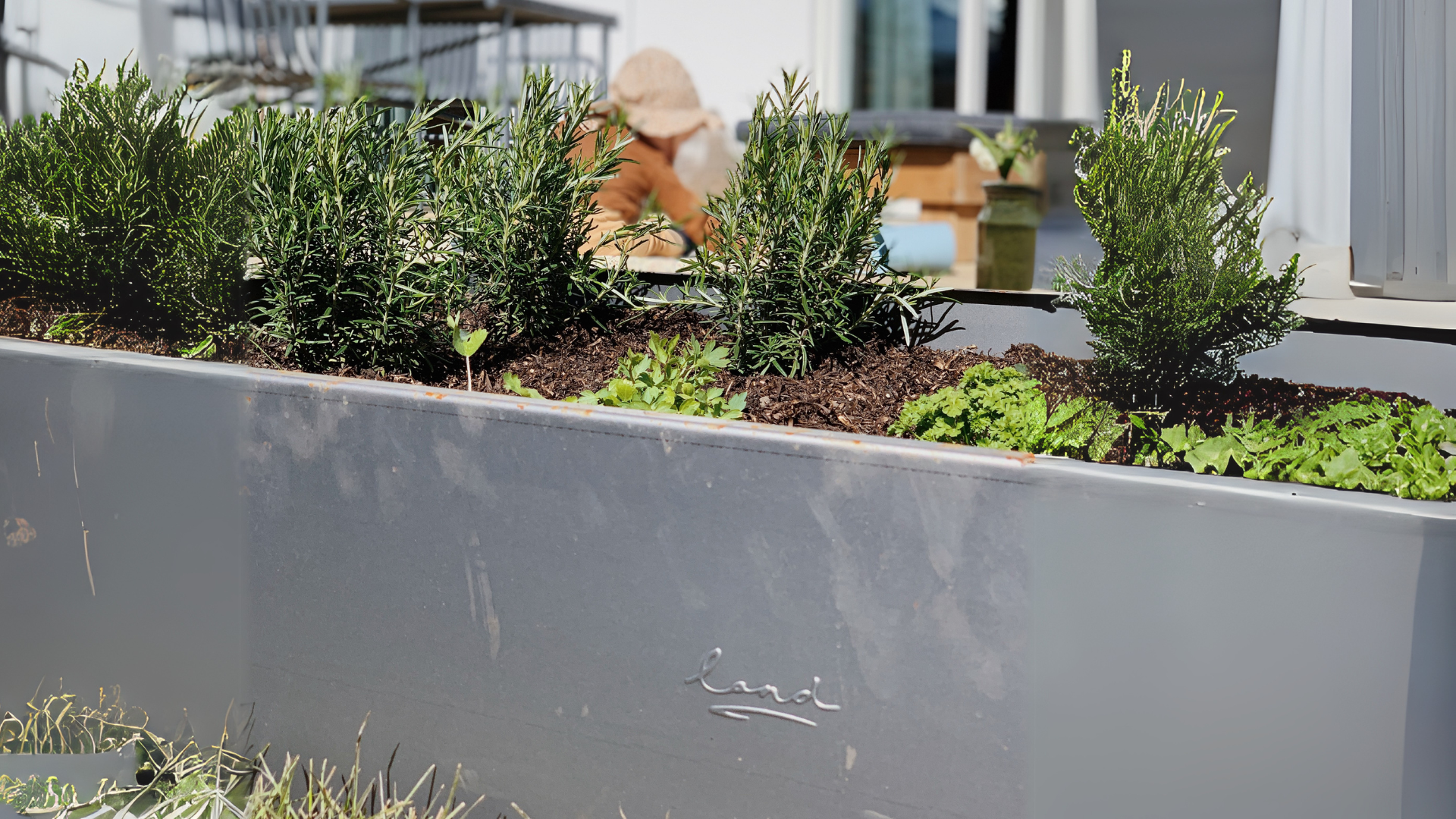 6 lærerige aktiviteter i haven