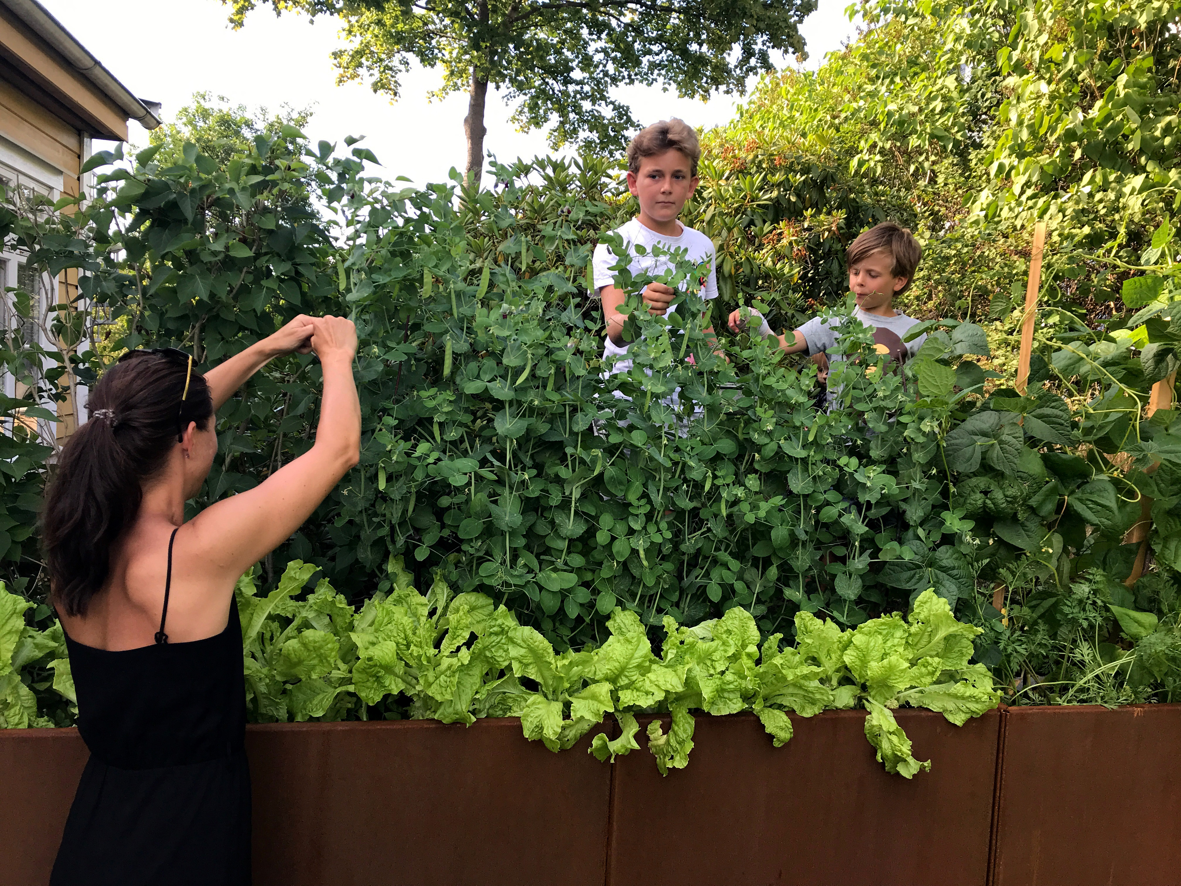 Udnyt havens overflod