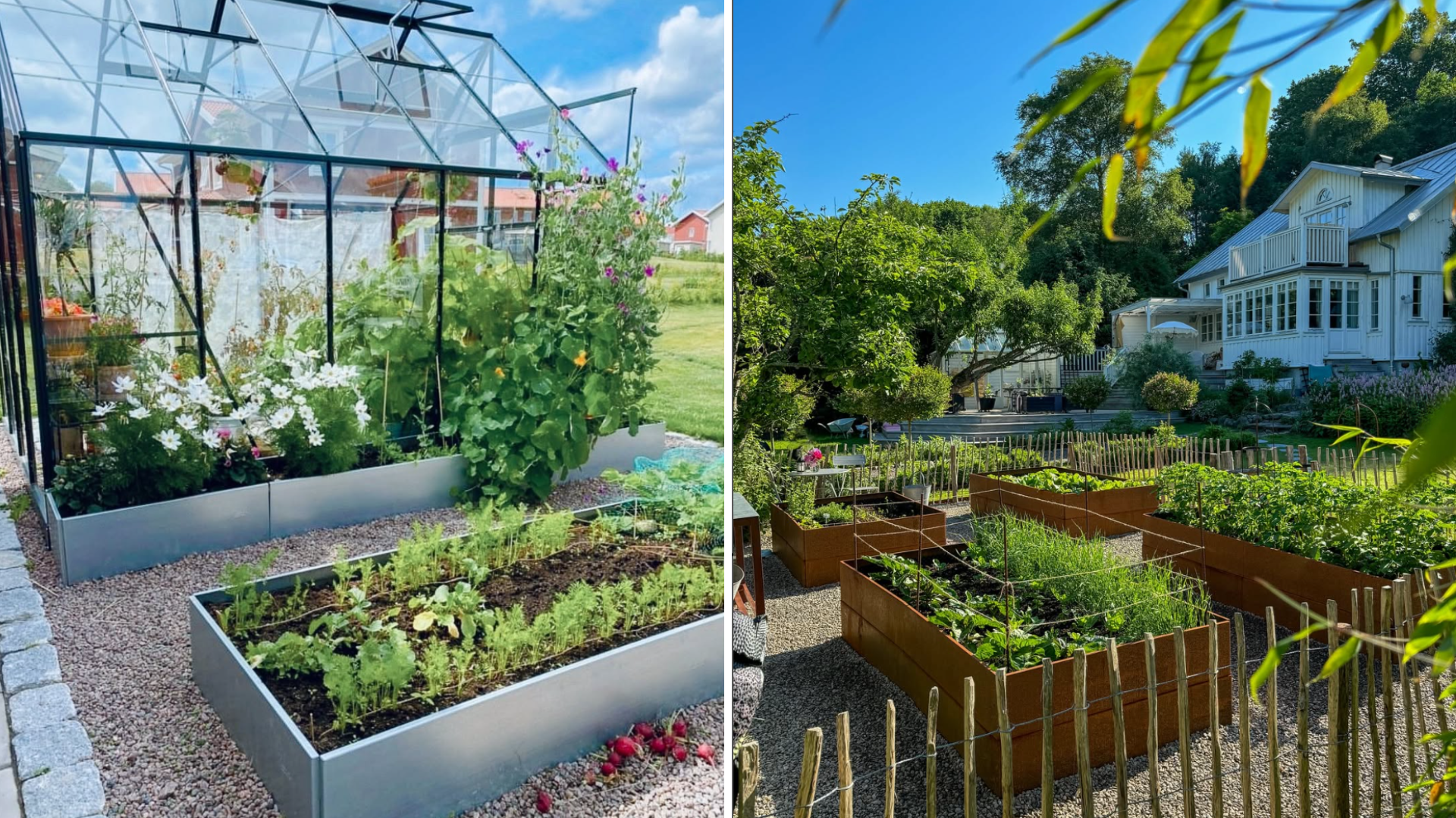 5 ting du skal huske når du anlægger en køkkenhave!