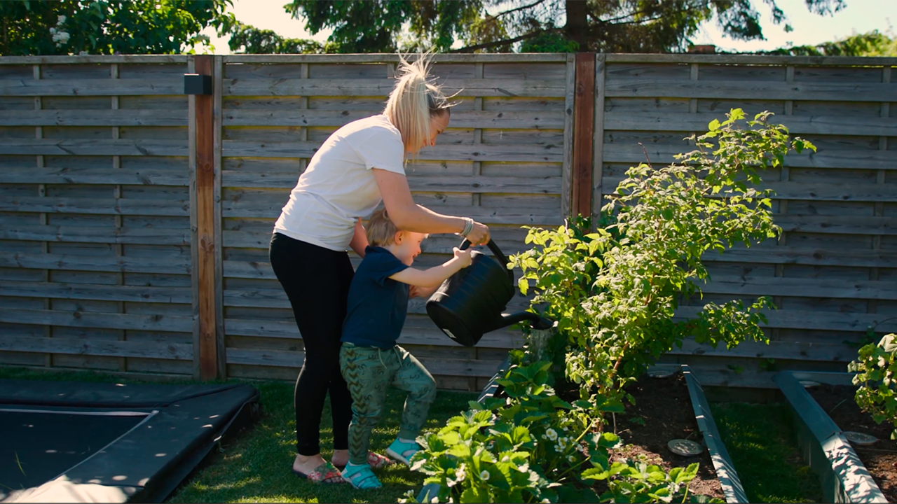 Sådan dyrker du squash og græskar