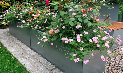 Skærmbillede 2025 03 18 Kl. 08.26.26 Skærmbillede 2025 03 18 Kl. 08.26.26