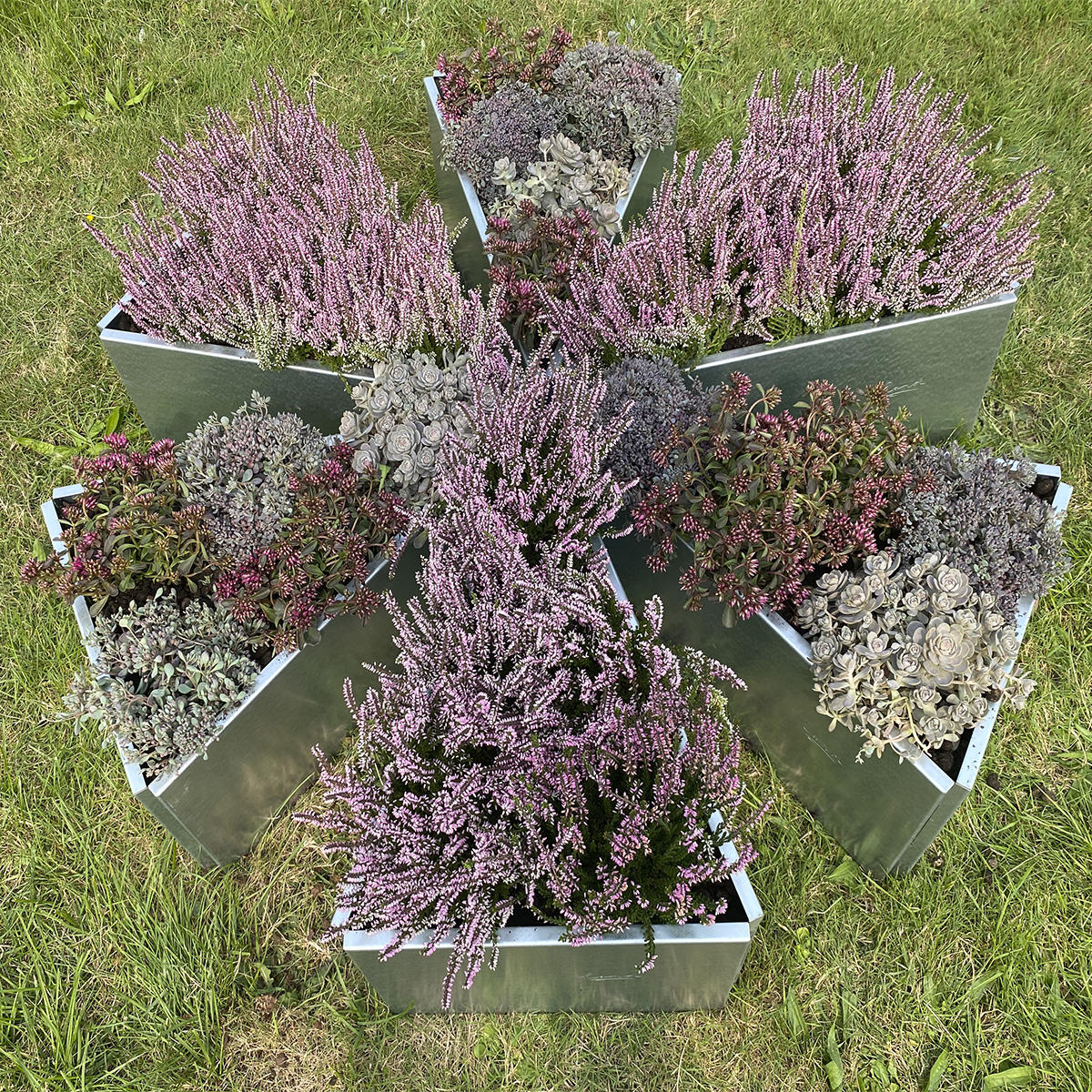 Skal du have et blomstrende forår?