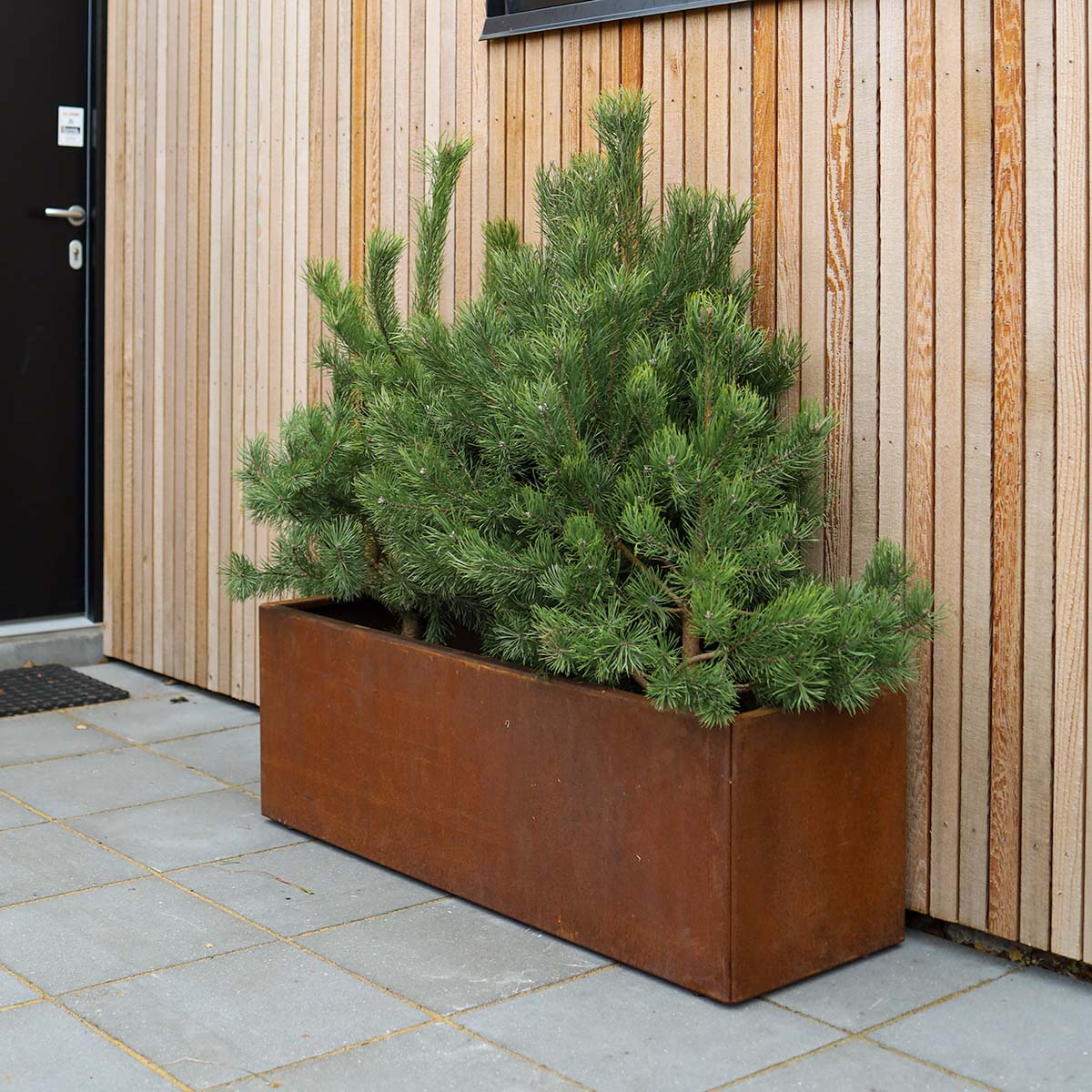 Land Modern Plantekasse I Cortenstaal 40X120 Cm Ved Hoveddoeren