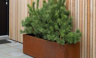 Land Modern Plantekasse I Cortenstaal 40X120 Cm Ved Hoveddoeren Land Modern Plantekasse I Cortenstaal 40X120 Cm Ved Hoveddoeren