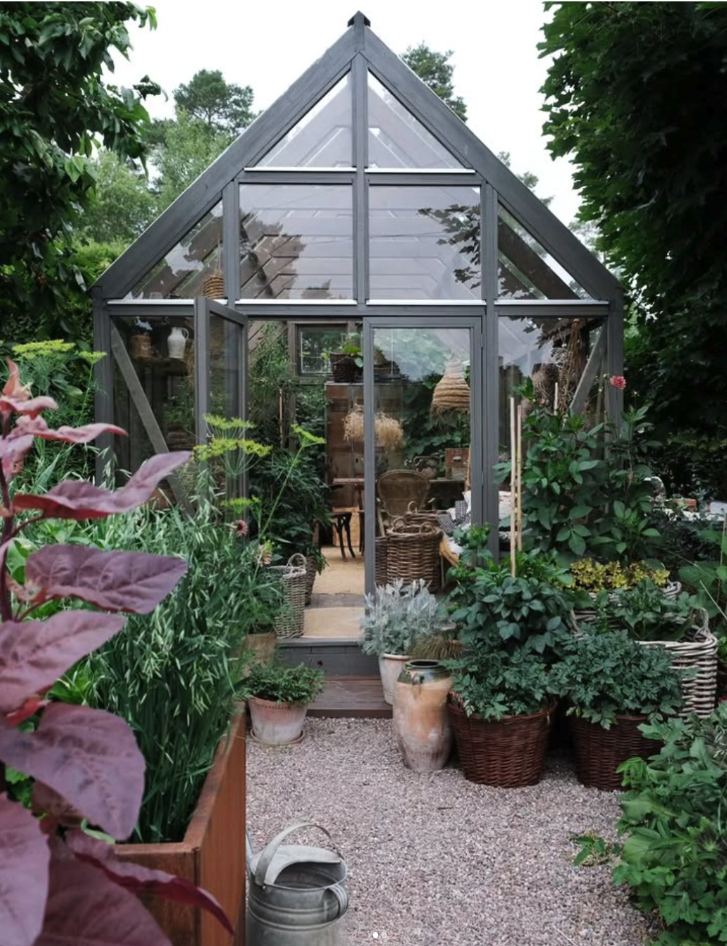 Efterårshøst i højbedet: Græskar til pynt og rødbeder på glas