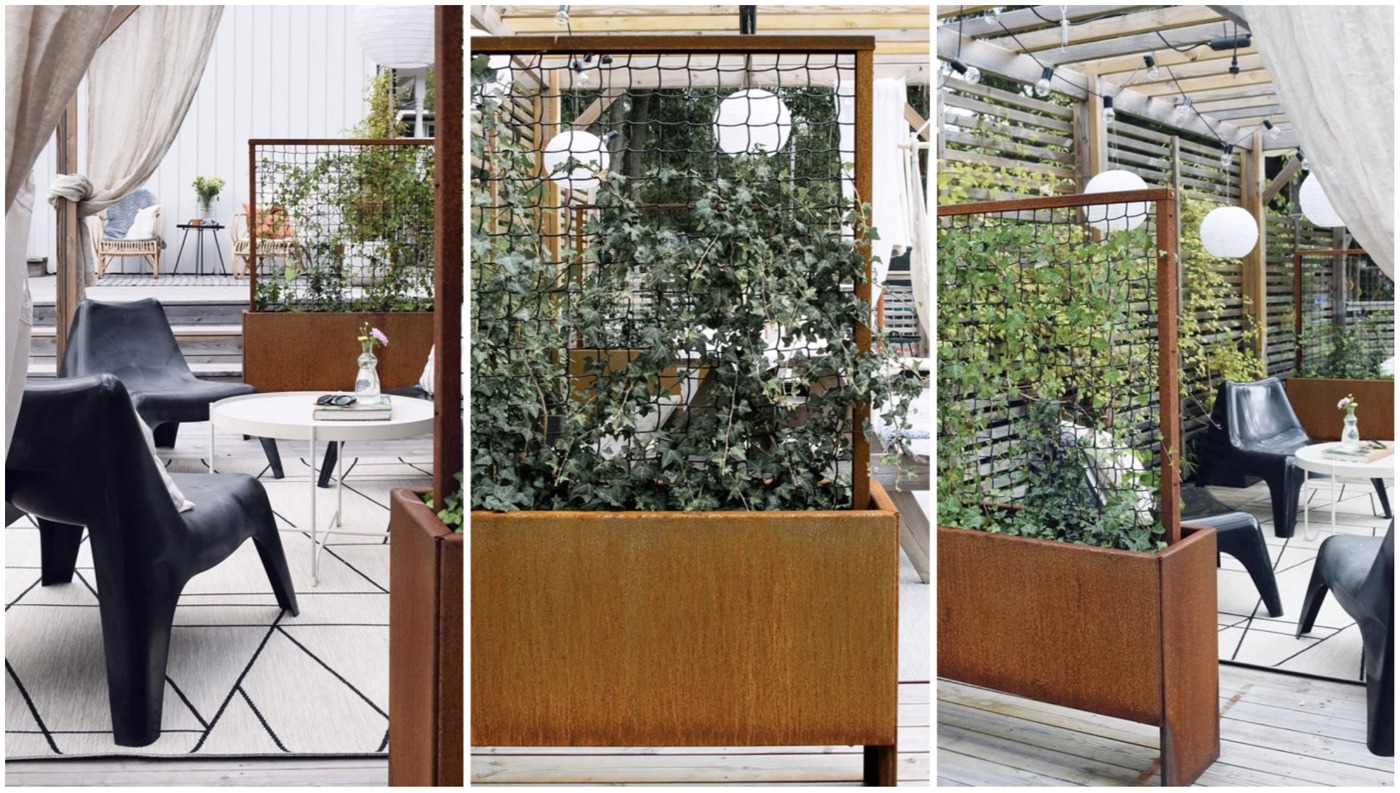 Espalier 3 billede.jpg