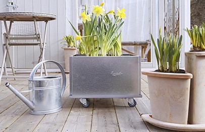 Forårsløg i plantekasse