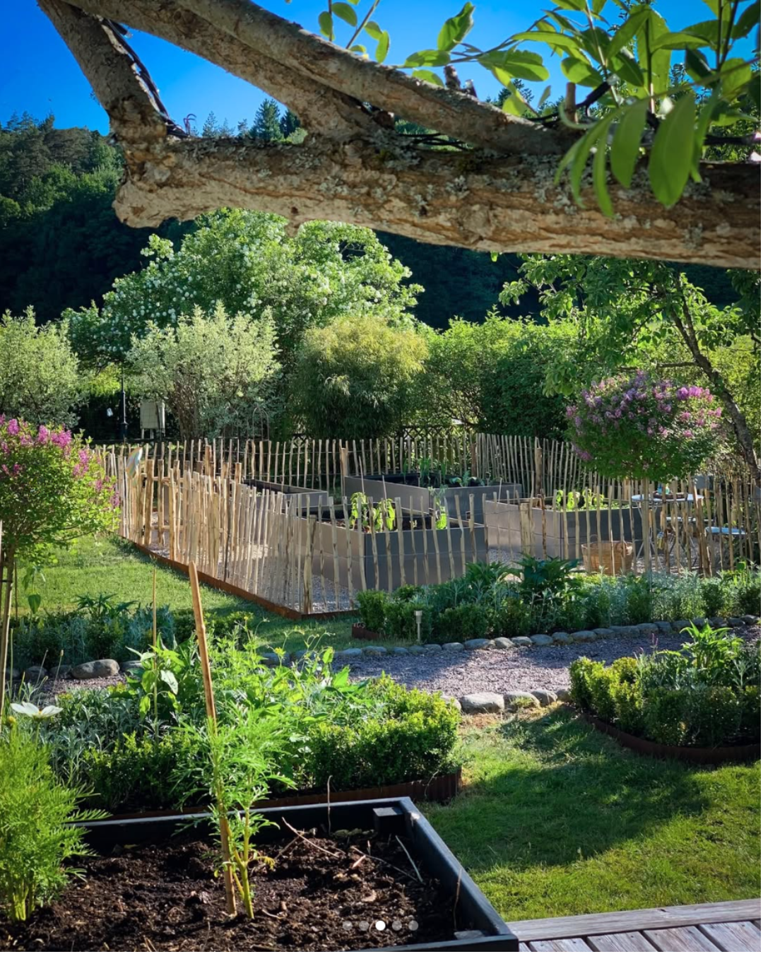 Haven i maj – den store udplantningstid