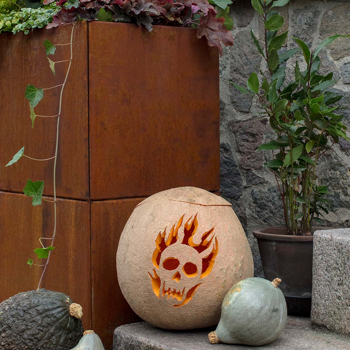 Nyt liv til højbedene på terrassen