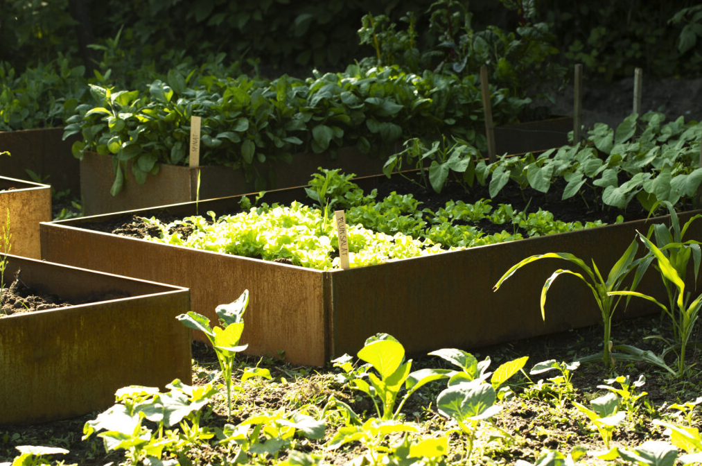 Let og elegant havefryd